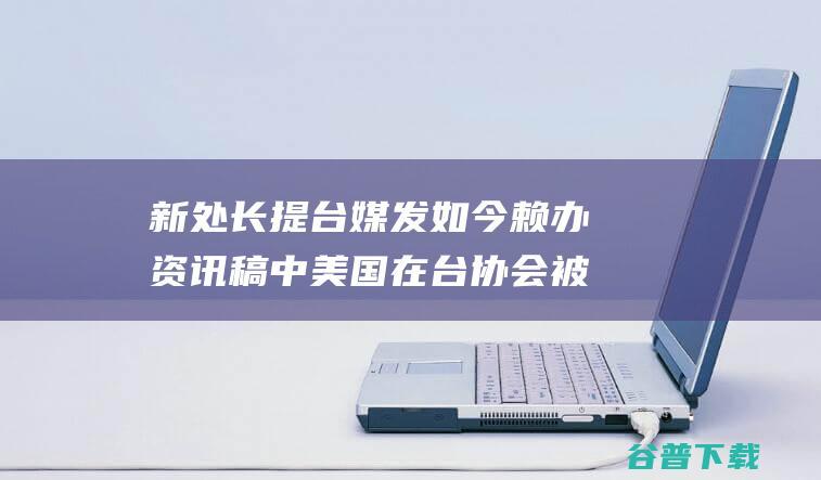 新处长提 台媒发如今赖办资讯稿中 美国在台协会 被消音 一中 (台企处长)